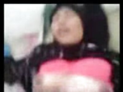 بالوں والی بلی خوبصورتی کے لیے پیسے کماتی ہے۔