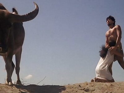 Busty خوبصورت پیاری گھاس پر fucked.