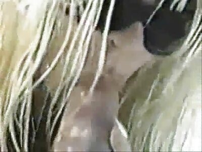 اس کے ساتھ مقعد جنسی تعلقات کے بعد ایک عورت کے پچھواڑے میں سکن ہیڈ کا سہارا۔